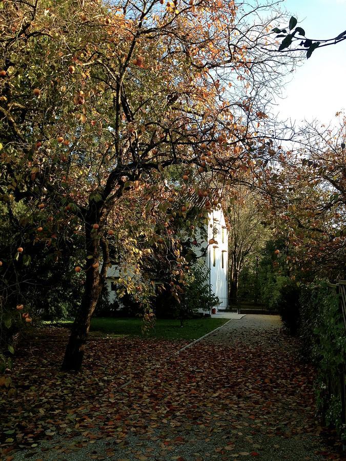 Ca' Marsure B&B Аццано-Дечимо Экстерьер фото